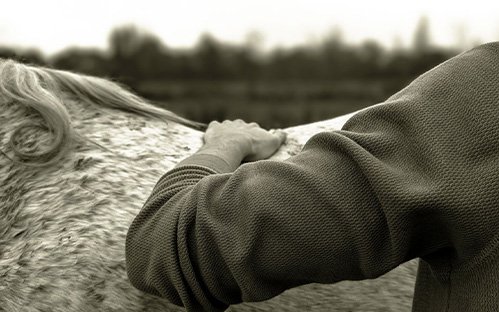 Avant chaque séance d’hirudothérapie