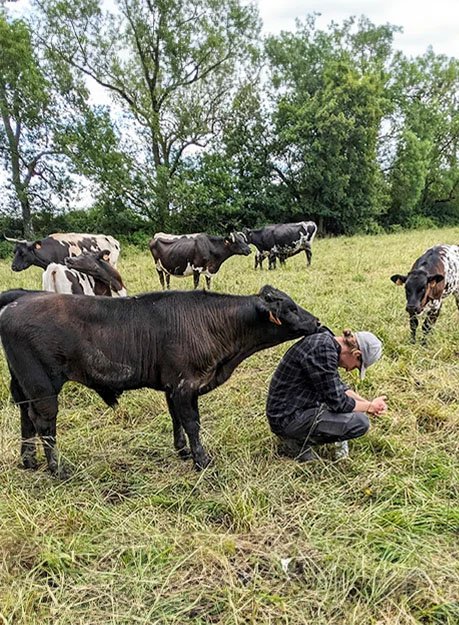 Ce sont les thérapeutes équipés de leurs outils qui effectuent la thérapie