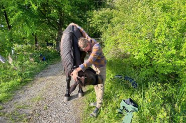 Humain & Animaux, dans quelles circonstances me contacter ? - mobile