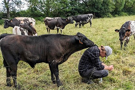 La Neuro-Ostéopathie Humaine et Animale - mobile