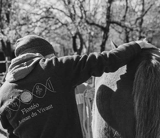 Maîtriser les Ombres et Lumières du Corps Humain et Animal